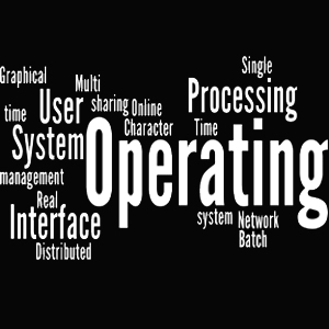 what is a batch processing operating system